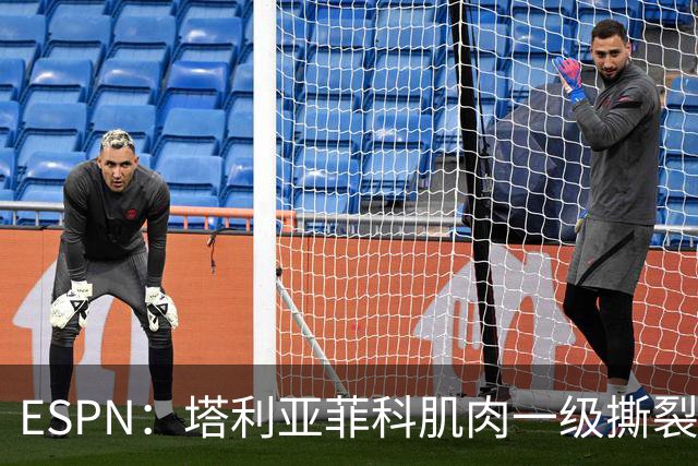 ESPN：塔利亚菲科肌肉一级撕裂，至少缺席世界杯前两场小组赛